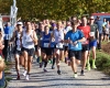 Volkslauf in Aspach, Foto T.Sellmaier