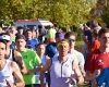 Volkslauf in Aspach, Foto T.Sellmaier