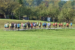 Volkslauf in Aspach, Foto T.Sellmaier